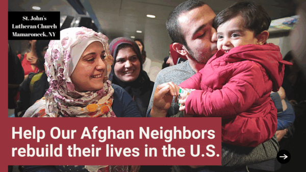 https://sadik-o.com - refugees and asylum seeekers - Help Our Afghan Neighbors