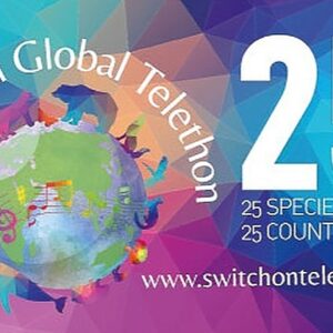 SwitchOn Global Telethon 2021