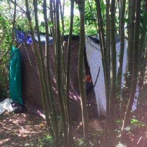 https://sadik-o.com - refugees and asylum seeekers - WIFI Project: Dunkirk