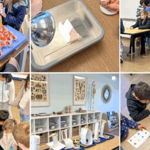 Support Hands-On Science for Parkmead Students