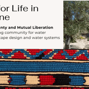 Support Water Sovereignty Skills in the West Bank