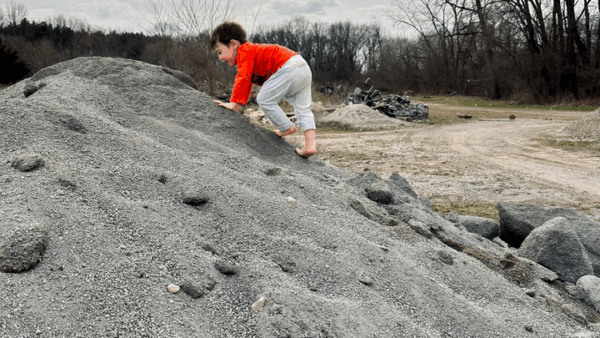 Help Bring The Wonder Nest to Life