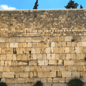 Please donate to help me go to shana bet!!