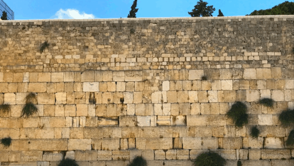 Please donate to help me go to shana bet!!