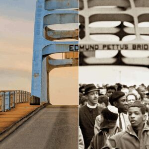 Support Lagunitas 8th Graders’ Civil Rights Journey