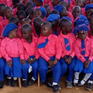Help Johnnylia School in Sierra Leone