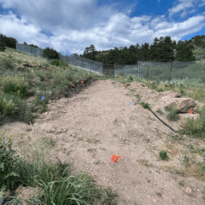 Mission: Wolf Handicap Access Path