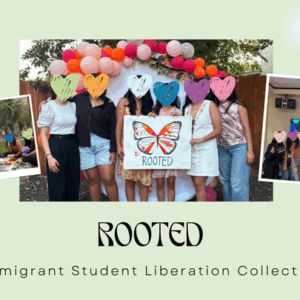 Help Immigrant UT Students Stay in School