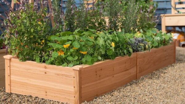 Garden Beds for Douglas MacArthur Elementary