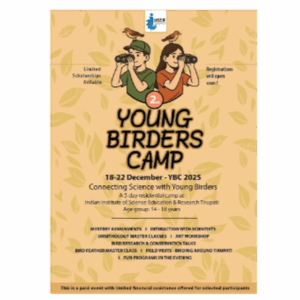 Support Young Birders' Camp Scholarships