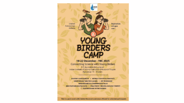 Support Young Birders' Camp Scholarships