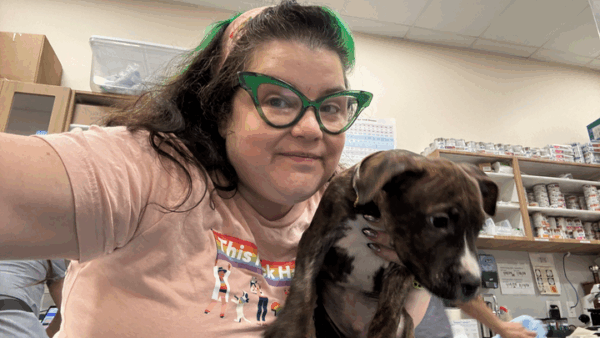 Supporting Amber's dream to become a vet.