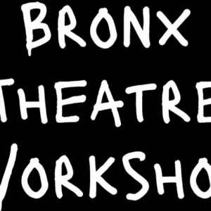 Bronx Theatre Workshop: A South Bronx Nonprofit
