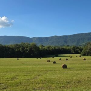 Fuel the Journey: Support Travel Goals