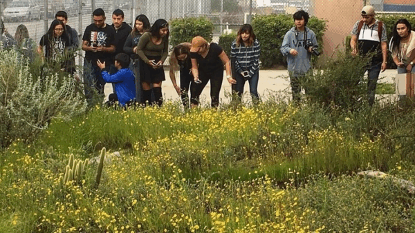 Help Mr. Nanoski Rehabilitate The Habitat Gardens