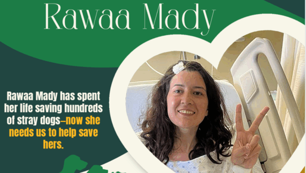 Discover trusted medical crowdfunding campaigns on Sadik-O. Raise funds for urgent surgeries