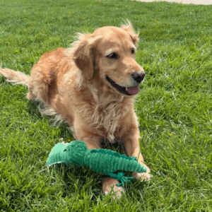 Discover trusted medical crowdfunding campaigns on Sadik-O. Raise funds for urgent surgeries