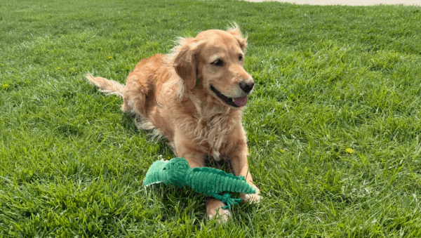 Discover trusted medical crowdfunding campaigns on Sadik-O. Raise funds for urgent surgeries