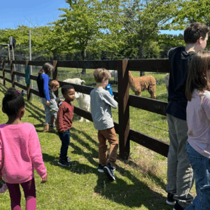Support Melanie's Christian Co-op for Kids