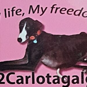 Galgo Help
