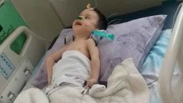 SAVE TUNAR'S LIFE!