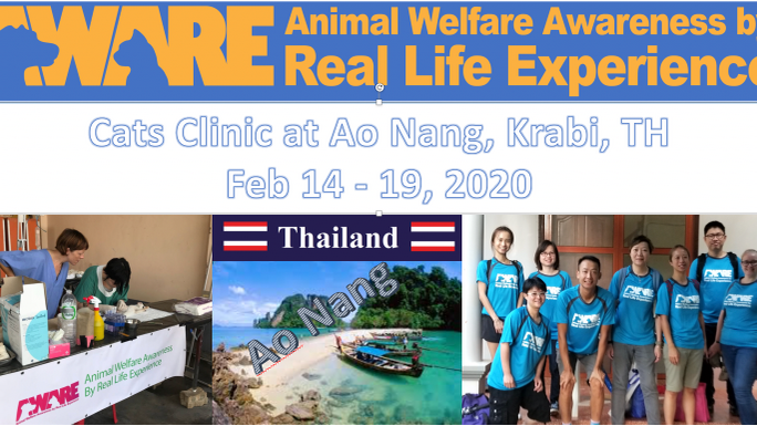 AWARE Healthy Cats Clinic (Ao Nang, Krabi, Thailand)
