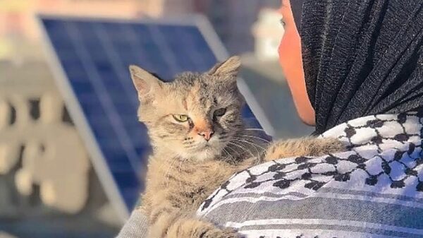 https://sadik-o.com - refugees and asylum seeekers - Save my life family and cat