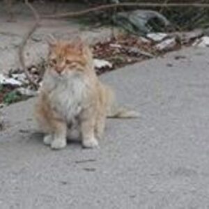 It's from Street Life to Sweet Life for the fabulous Roger