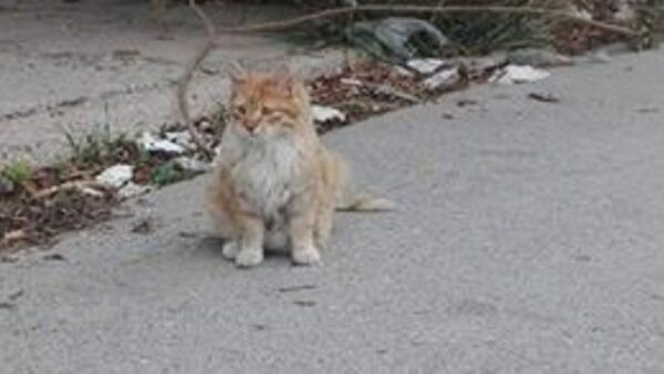 It's from Street Life to Sweet Life for the fabulous Roger