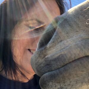 Keep Rescued Animals Fed and Happy!