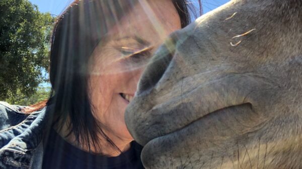 Keep Rescued Animals Fed and Happy!