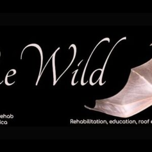ReWild needs a new Bat-Mobile