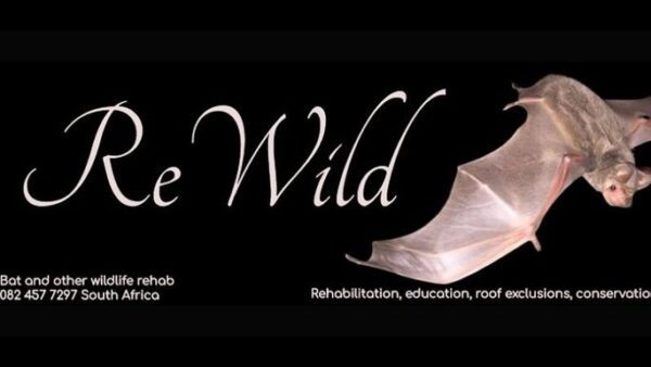 ReWild needs a new Bat-Mobile