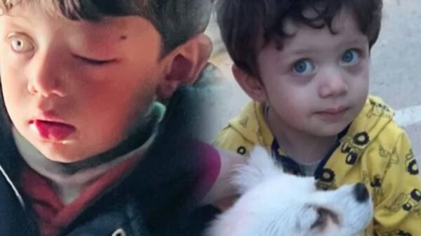 https://sadik-o.com - refugees and asylum seeekers - Help Tim Walid & Family Escape Gaza