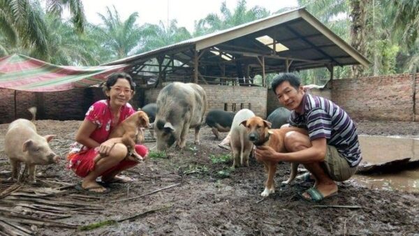 Helping Sehati Animal Sanctuary