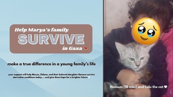 https://sadik-o.com - refugees and asylum seeekers - Marya's Survival Fund: help a loving couple & their baby in Gaza