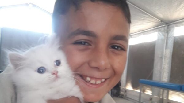 Support Zain Ziara & Family - Injured & displaced in Gaza - – Sadik-O