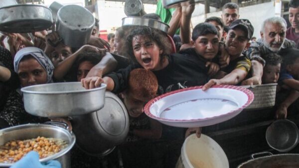 https://sadik-o.com - refugees and asylum seeekers - Help Gazan families avoid starvation