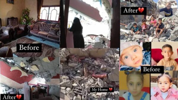 https://sadik-o.com - refugees and asylum seeekers - Help the Al-Najjar Family Survive in Gaza