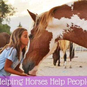30 days to save our herd - Building a haven for abandoned horses