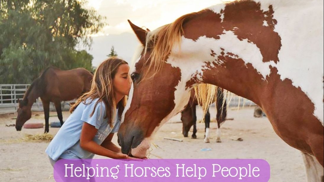 30 days to save our herd - Building a haven for abandoned horses