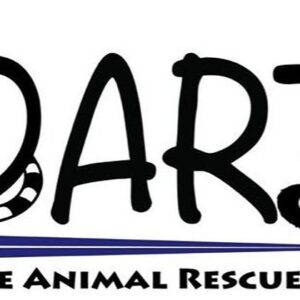 Cat enclosure for our rescue cats