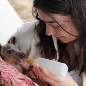Help Me Save Australia's Wildlife