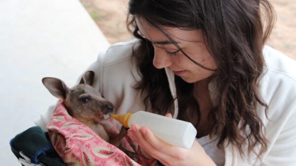 Help Me Save Australia's Wildlife