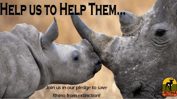 Help Us to Help Them - Bring White Rhino to Altina