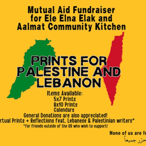 https://sadik-o.com - refugees and asylum seeekers - Prints for Palestine and Lebanon