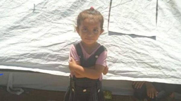 https://sadik-o.com - refugees and asylum seeekers - Feed Areej and her family in Gaza
