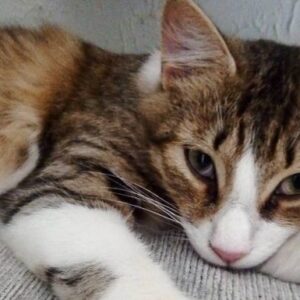 It's from Street Life to Sweet Life for little Eve