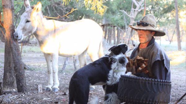 The phenomenal task of relocating an Animal sanctuary