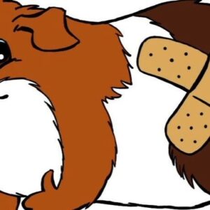 Help me, Heal me, Love me